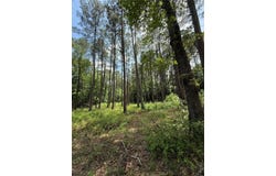 Pr 1332, Elysian Fields, TX 75642