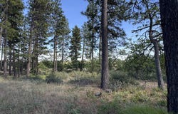 112 TIMBER Rd, Bickleton, WA 99322