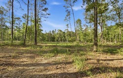 Golf Course Road, Lufkin, TX 75901