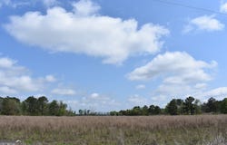 Oak Tree Road, Metter, GA 30439