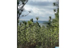 377 MAGNOLIA LANE lot: 1, VANDIVER, AL 35176