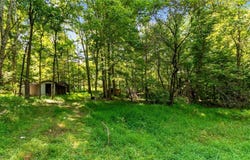 3508 Left Fork Road, Lucasville, OH 45648