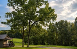4135 Williamsburg Rd, Frankford, WV 24938