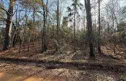 CR 2733, Marietta, TX 75566