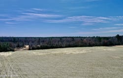 Tract 1 Haynes Lennon Highway, Cerro Gordo, NC 28430