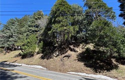 North Road, Twin Peaks, CA 92391