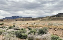 1000 S FOOTHILL Blvd, Delta, UT 84624