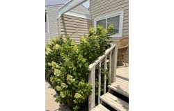 124 44th St S, Brigantine, NJ 08203