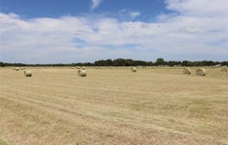 1952 County Road 103, Comanche, TX 76442