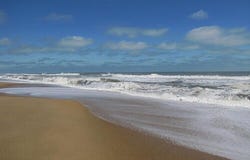 7909 Edingsville Beach Road, Edisto Island, SC 29438