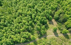 400 TROPHY LN, HESSEL, MI 49745