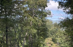 Falcon Overlook lot: 33, Hayesville, NC 20894