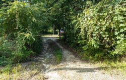 14524 208TH STREET, OBrien, FL 32071