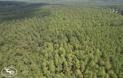 W Highway 4, Century, FL 32535
