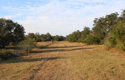 Parcel 4 Lobo Lane, Columbus, TX 78934