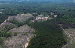 Tree Farm Road, Sulligent, AL 35586