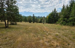 Hwy 58, Lowell, OR 97452