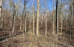 1245 Strike King Dr (Lot 191), Cedar Grove, TN 38321