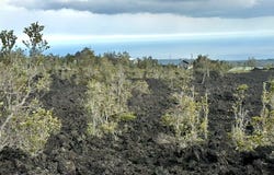 ALOHA BLVD, Ocean View, HI 96737