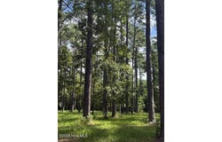 39 Corrolla Loop Road lot: 69/69A, Oriental, NC 28571