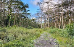KAPOHO RD, Pahoa, HI 96778