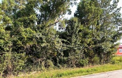 106 Wilson Bridge Rd, Ninety Six, SC 29666