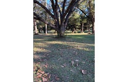 7317 Wigfield Road, Mobile, AL 36619
