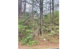 Tract 1 Highway 96 N, Jasper, TX 75951