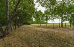 3805 County Rd, Wolfe City, TX 75496