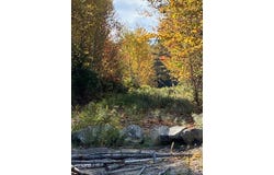 S Bay Road, Franklin, ME 04634