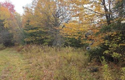 Murray Road lot: 27, Thorndike, ME 04986