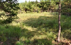 County Road 3121, Long Branch, TX 75669
