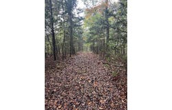 Old Hwy 42 S, Monroe, TN 38573