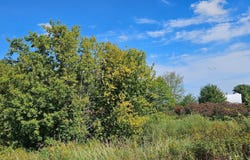 Hwy 70, Rock Creek, MN 55063
