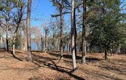 3266 Shadow Pine Drive, Larue, TX 75770