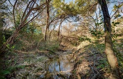 11622 February Dr, Austin, TX 78753