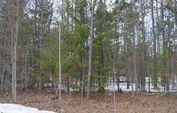 1971 BUNKER DRIVE, KALKASKA, MI 49646