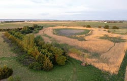 425th Avenue, Tabor, SD 57063