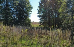 237th Street, Ridgeway, MO 64481