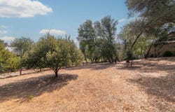 285 Smith Flat Road, Angels Camp, CA 95222