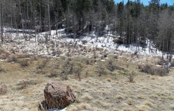 388 Grey Eagle Drive, Cripple Creek, CO 80813