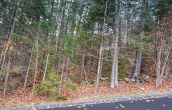 63 Villager Loop, Dover, VT 05356