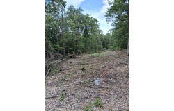 County Road 350, Dora, MO 65637