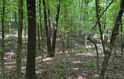 County Road 30, Thomaston, AL 36783
