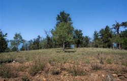 530 Gitche Goone Lane lot: 14, COMO, CO 80432