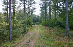 36 ac Beech Creek Road, Nelson, VA 24580