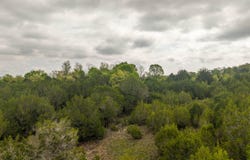 4 Little Woods Road, Elizabeth, AR 72531