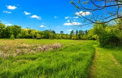McGuiness Road, Dexter, MI 48130