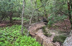 468 Sylvan Road, Thurmond, NC 28683