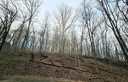 1767 Mohican Court, Hide A Way Hills, OH 43107